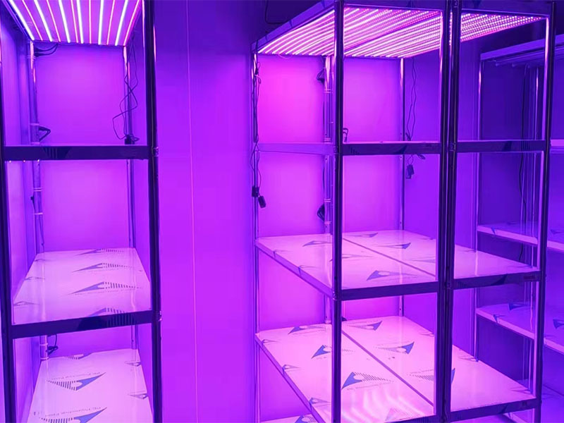 光照强度可调组培架